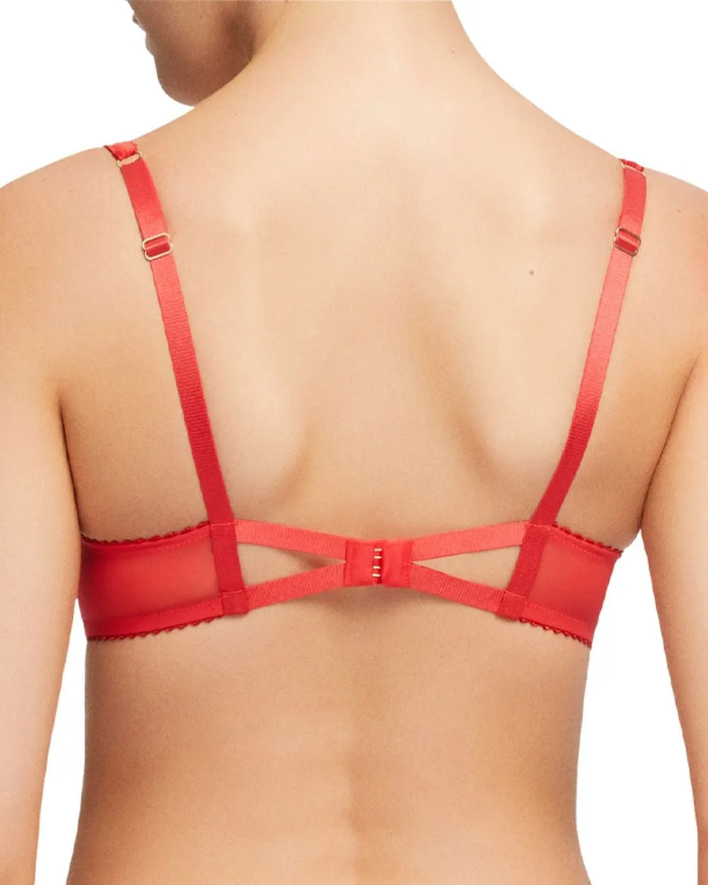 Julie's Roses Underwire Bra